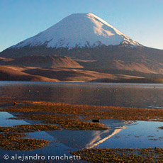 Chile-Bolivia-2011