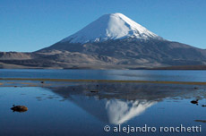 Chile-Bolivia-2011