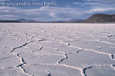 Chile-Bolivia-2011