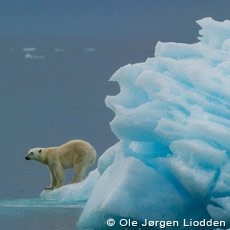 Svalbard