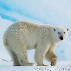 Svalbard
