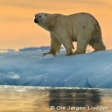 Svalbard