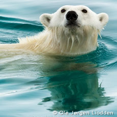 Svalbard