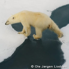 Svalbard