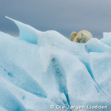 Svalbard