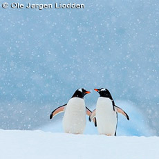 World Photo Travels | PhotoTours | Photosafaris in North America and Around the World | ФотоТуры | Фотосафари | Фотопутешествия по Северной Америке и Миру | Mike Reyfman Photography | WPT 