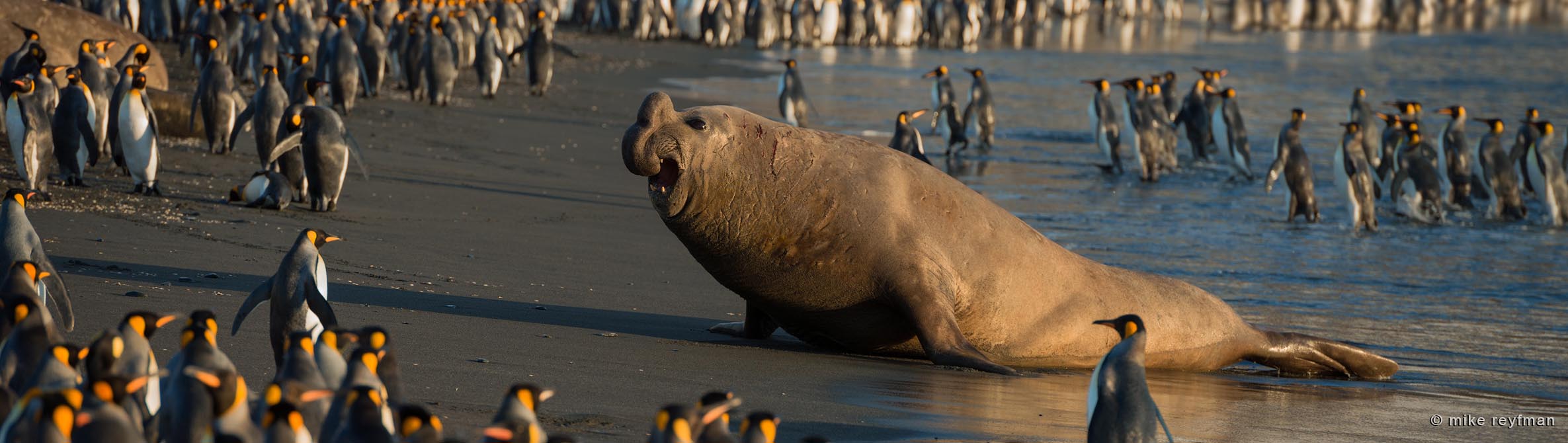 South Georgia Island